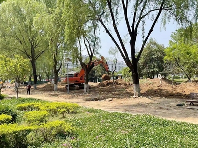 邳州市园林绿化工程建设稳步推进，打造生态宜居城市新面貌